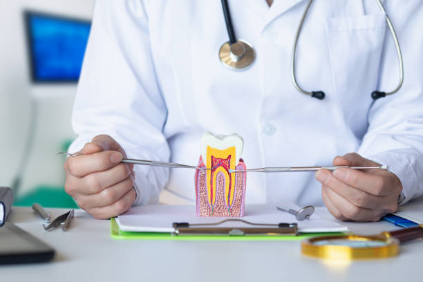 Best Emergency Tooth Extraction in Shanor Northvue, PA